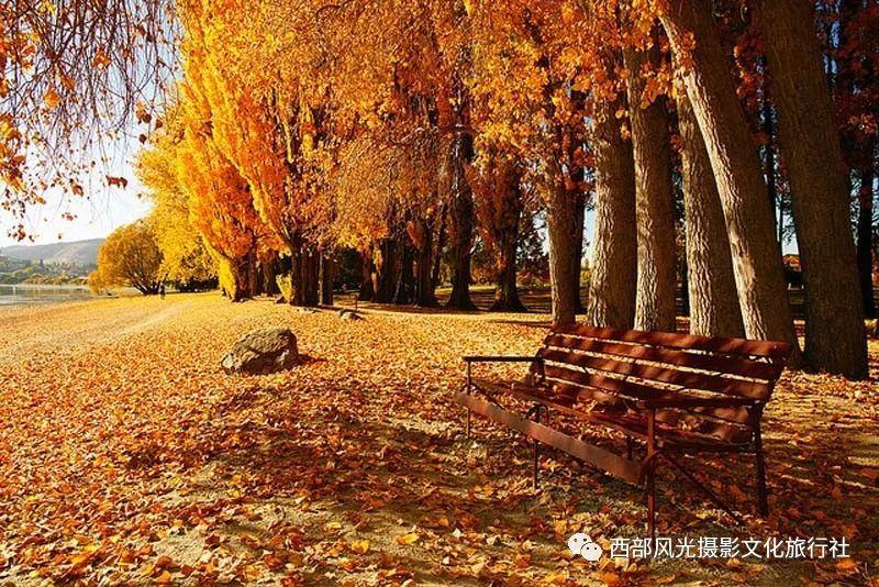 杭州一肿瘤晚期主人给猫咖留纸条托付爱猫,养宠物是为了有精神依靠吗?论坛-分享热门话题,交流有趣经验 - 红迪网
